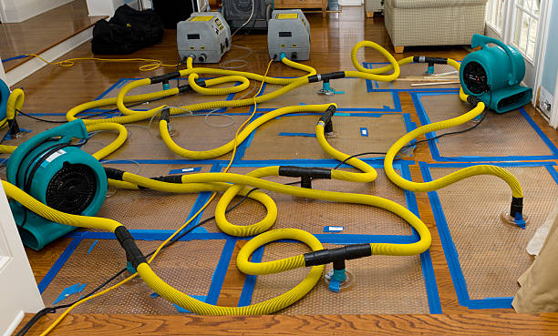Professional Crawl Space Water Removal technician working in Jasper, TX